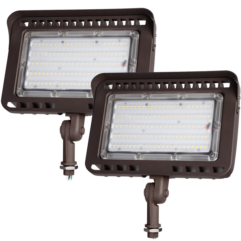 LEONLITE 100W Led Outdoor Security Flood Light Wayfair
